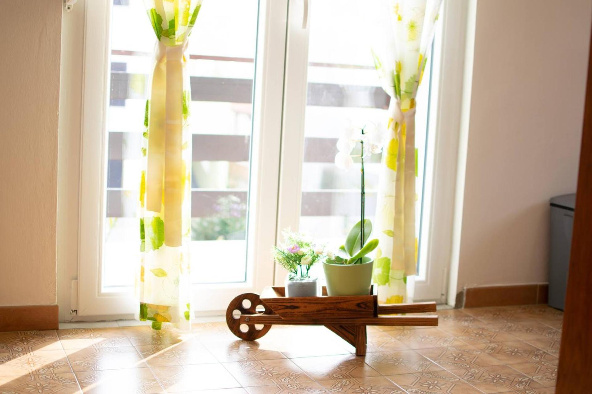 Family House With 2 Apartments - Irma เมดูลิน ภายนอก รูปภาพ