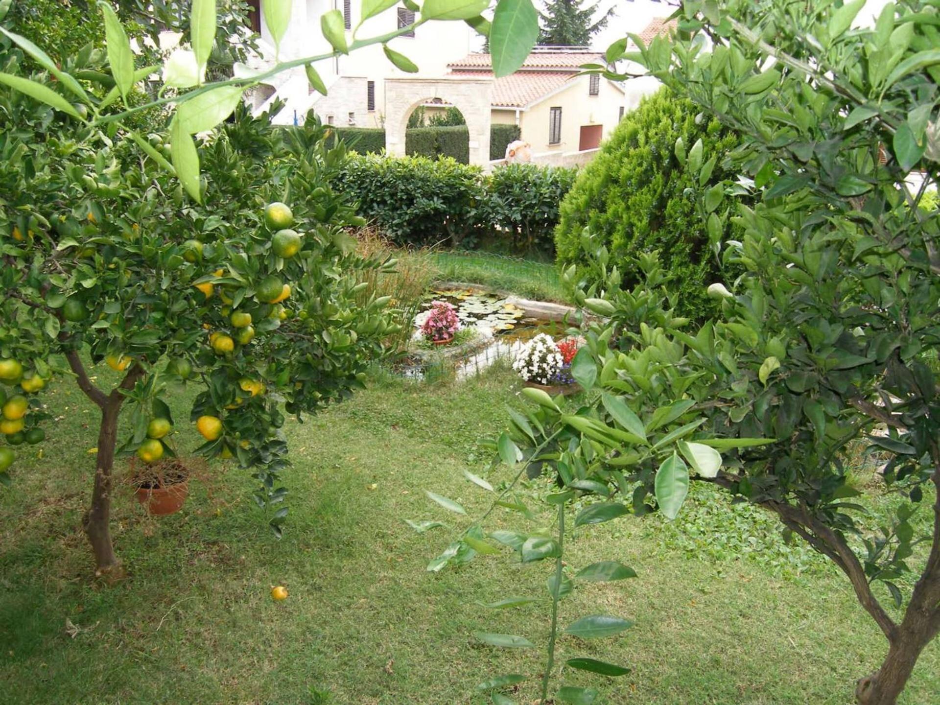 Family House With 2 Apartments - Irma เมดูลิน ภายนอก รูปภาพ
